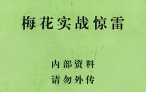 张永杰《梅花实战惊雷》PDF 438页 百度网盘分享
