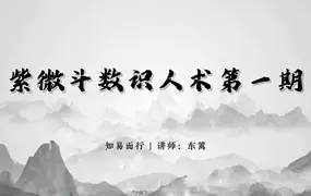 知易而行 东篱老师 紫微斗数识人术 一二三期合集 29集视频(带字幕)
