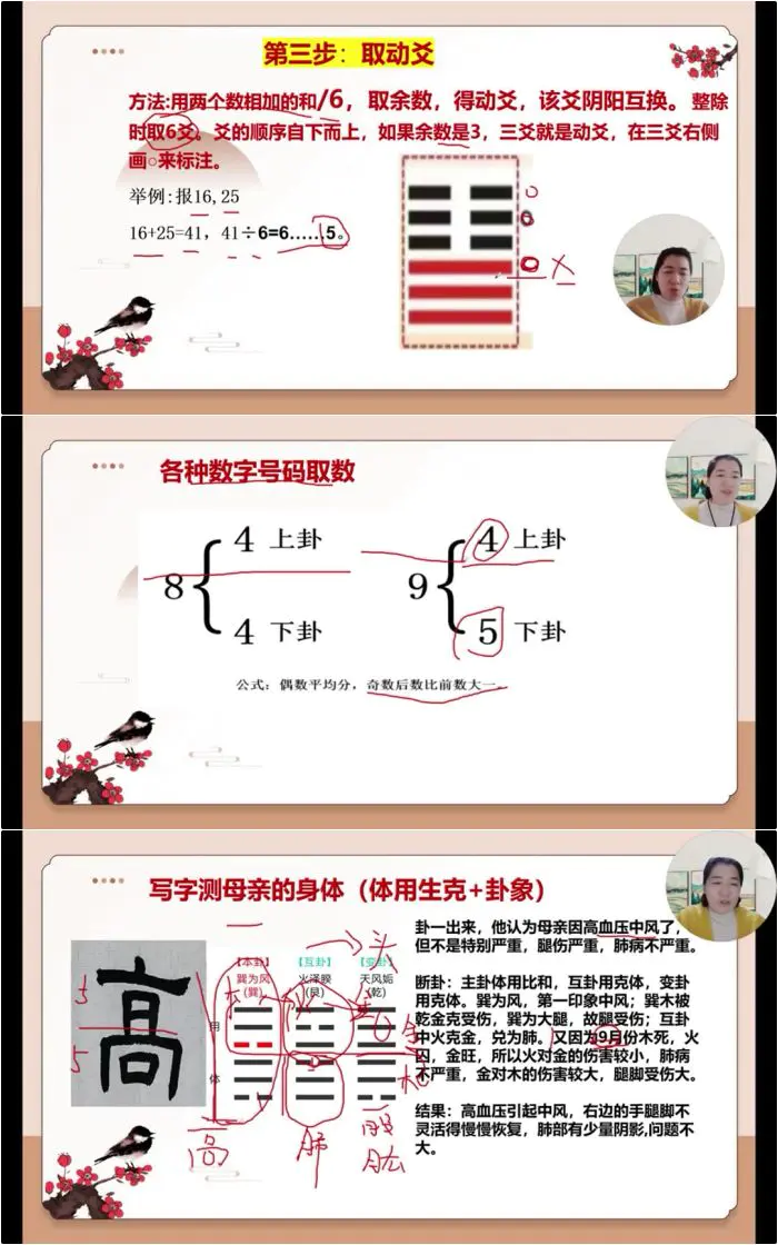 久珍梅花易数课程 视频30集 百度网盘分享