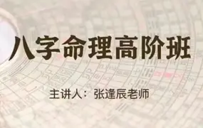 张逢辰 八字命理基础+高阶 视频48集+录音1集 百度网盘分享