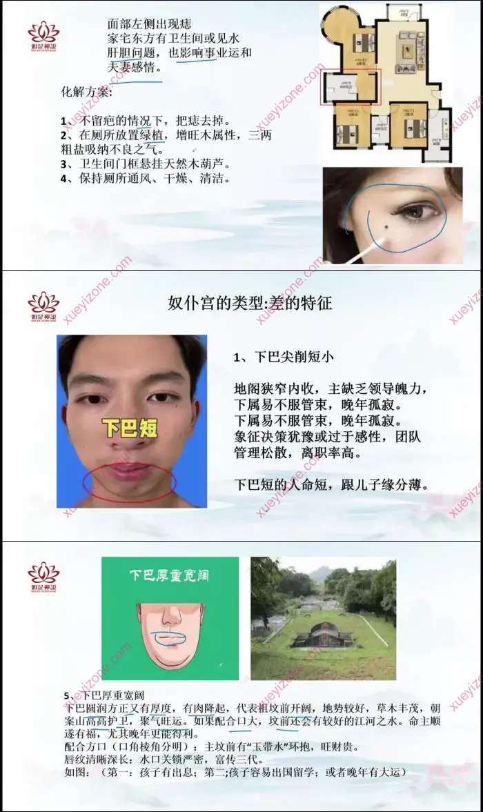 如是禅说 麻衣相术面相课程