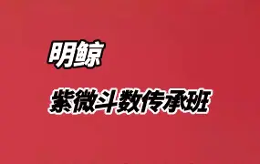 明鲸紫微斗数传承班 视频16集+笔记 百度网盘分享