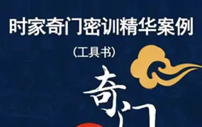 星月辰光 王立军《时家奇门密训精华案例》工具书 PDF 156页