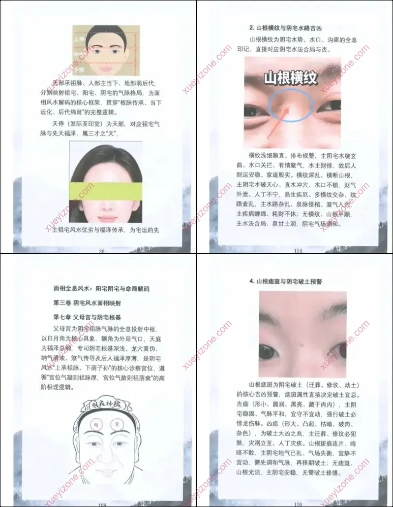 贾继茂盛 面相全息风水