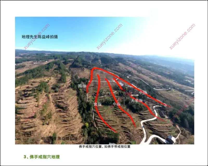 陈益峰2020年案例3册