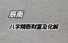 辰南 八字命理精断财富及化解 视频28集 百度网盘分享
