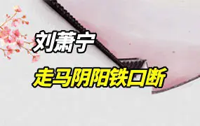 刘萧宁 走马阴阳铁口断 PDF电子版 460页 百度网盘分享