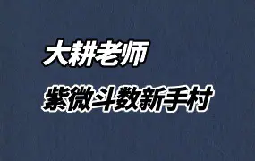 大耕老师《紫微攻略·紫微斗数新手村》PDF电子版 400页