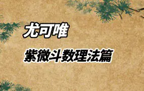 尤可唯紫微理法篇 视频12集 百度网盘分享
