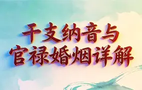 干支纳音与官禄婚姻详解 PDF版 225页 百度网盘分享