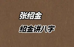 张绍金 绍金讲八字 视频38集(带字幕) 百度网盘分享