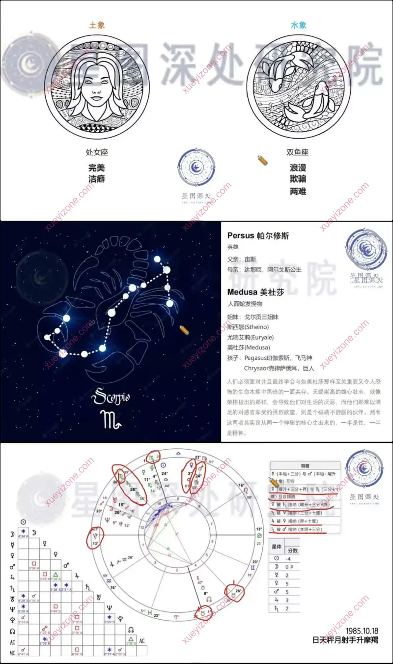 陈安逸2023年会员沙龙专栏