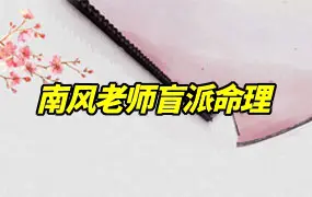 南风老师盲派命理 视频147集 百度网盘分享
