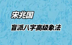 宋兆国 盲派八字高级象法传承班 PDF电子版 256页 百度网盘分享