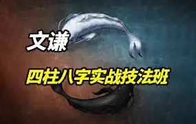 文谦老师 四柱八字实战技法班 公开课+正课 视频205集+课件