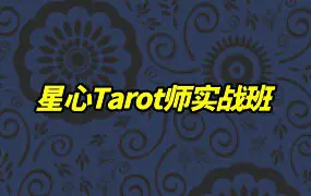 星心塔罗师课程 星心Tarot师实战班 视频21集 百度网盘分享