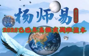 杨清娟弟子杨家盛 杨师易 2025乙巳年高维实战班法本 PDF 427页
