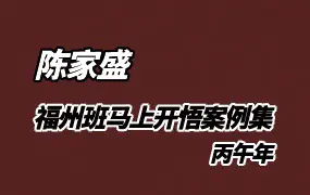 陈家盛 丙午年福州班马上开悟案例集 PDF电子版 213页