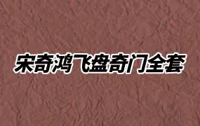 宋奇鸿飞盘奇门全套 视频+录音+文档 百度网盘分享