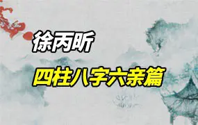 徐丙昕四柱八字六亲篇 视频16集(带字幕) 百度网盘分享