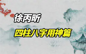 徐丙昕四柱八字用神篇 视频17集(带字幕) 百度网盘分享