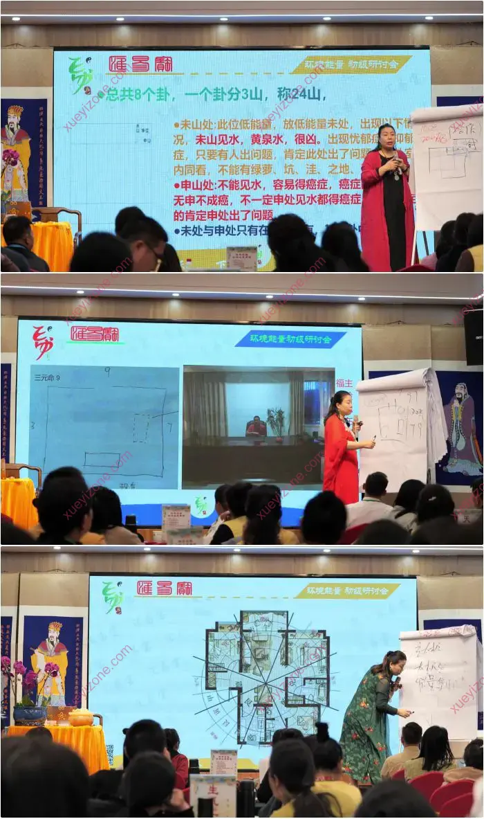 徐子辰 环境能量研讨会