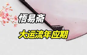 悟易斋 大运流年应期 PDF电子版 225页 百度网盘分享