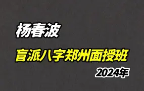 杨春波盲派八字 2024年郑州线下面授班 视频34集 百度网盘分享
