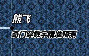 熊飞 奇门穿数字精准预测 视频10集 百度网盘分享