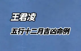 王君凌 五行十二月吉凶命例 上下册 PDF 月光八字 百度网盘分享