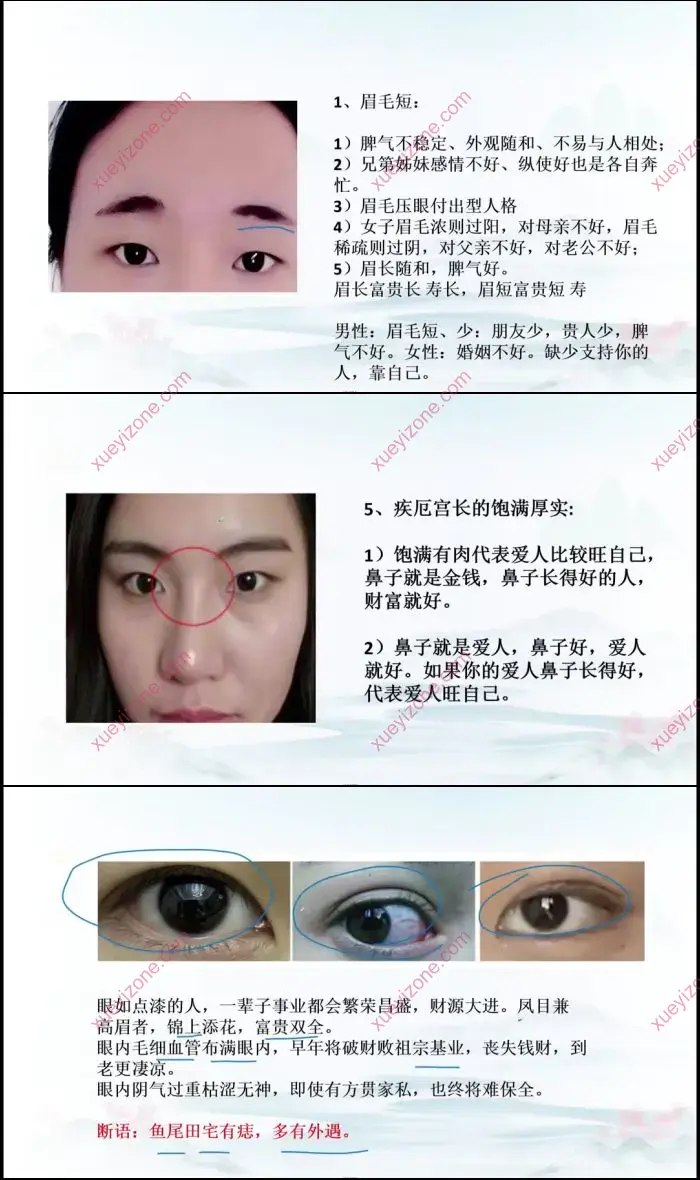 辰南老师 麻衣相术课程