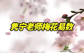 隽宁老师梅花易数课程 视频89集 百度网盘分享