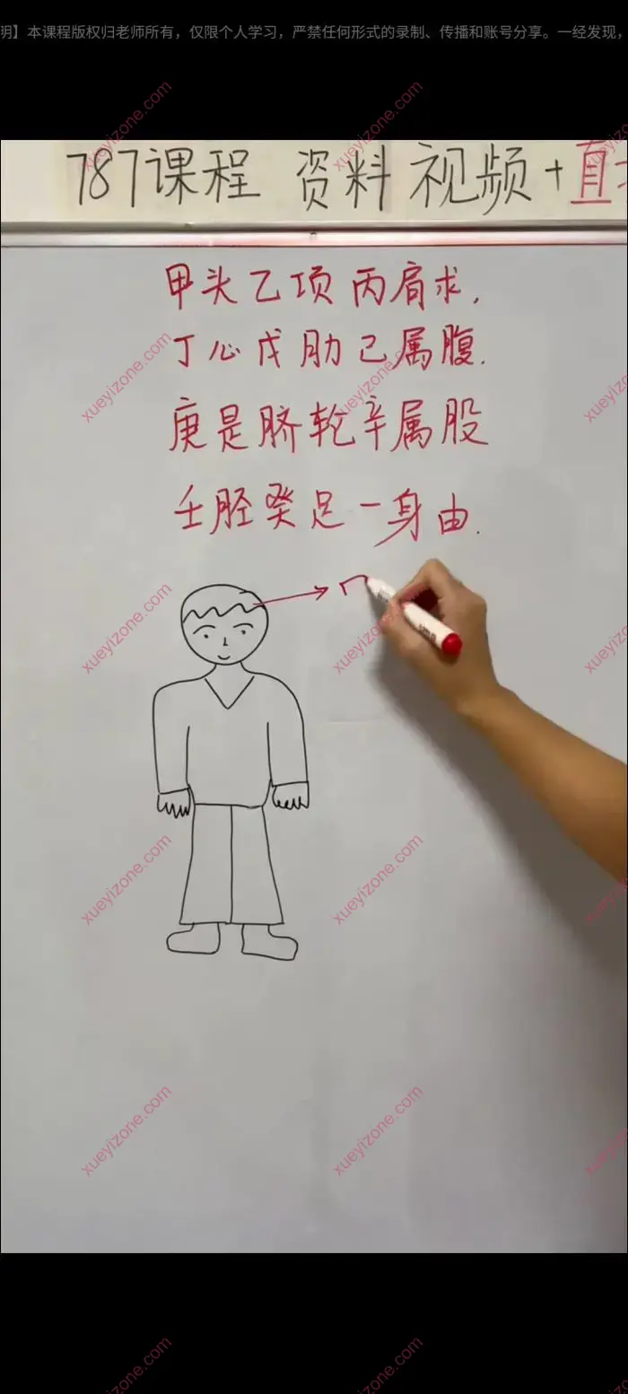 元巳八字基础课