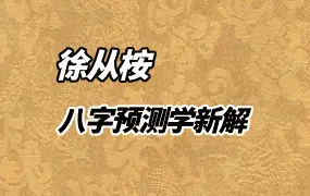 徐从桉 八字预测学新解 PDF 321页 百度网盘分享