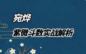 宛烨 紫微斗数实战解析论盘课 视频3集 百度网盘分享