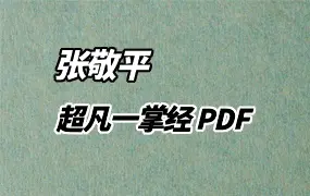 张敬平 超凡一掌经 PDF电子版 249页 百度网盘分享