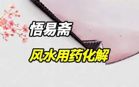悟易斋 《风水用药化解》2024年最新修订版 PDF电子版 123页