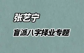张艺宁老师 新盲派八字择业专题视频直播课 视频6集 百度网盘分享