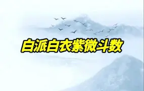 白派白衣飞宫紫微斗数 白衣2024战损版 视频7集+课件