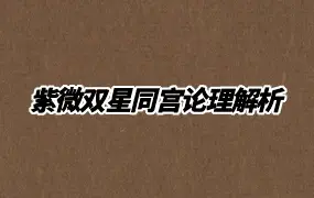 许永安 李冠昱 紫微双星同宫论理解析 PDF电子版 226页