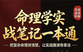 命理学实战笔记一本通 PDF电子版 共234页 百度网盘分享