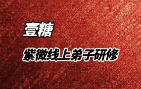 壹糖老师 紫微斗数线上弟子研修 视频11集 百度网盘分享