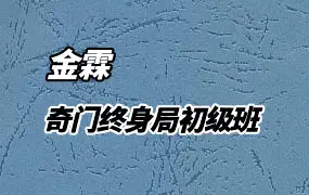 金霖老师 奇门终身局初级班 视频68集 百度网盘分享