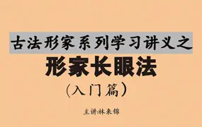 林来锦 形家长眼法入门篇 PDF电子版 197页 百度网盘分享