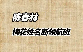 陈春林 九纬洪运 梅花姓名断领航班 视频10集 百度网盘分享