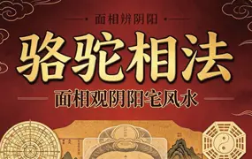 范炳檀 骆驼相法面相观阴阳宅风水 PDF电子版 216页 百度网盘分享