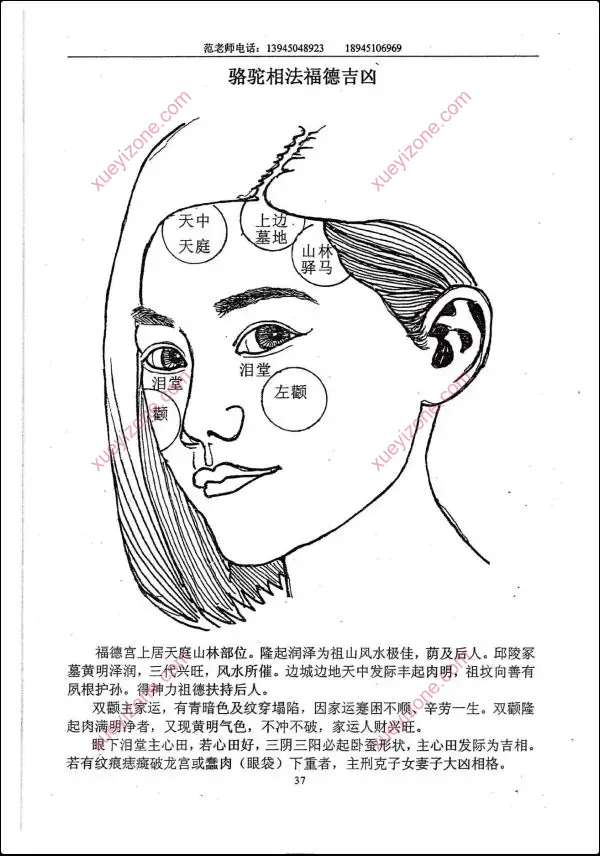 范炳檀 骆驼相法面相观阴阳宅风水
