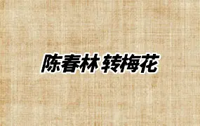 陈春林 转梅花 PDF 75页 百度网盘分享