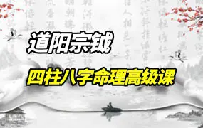 道阳宗钺 四柱八字命理高级课程 视频15集 百度网盘分享