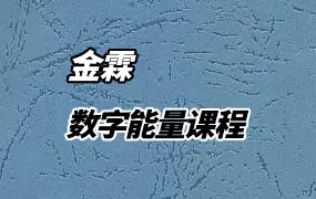 金霖老师数字能量 视频36集 百度网盘分享
